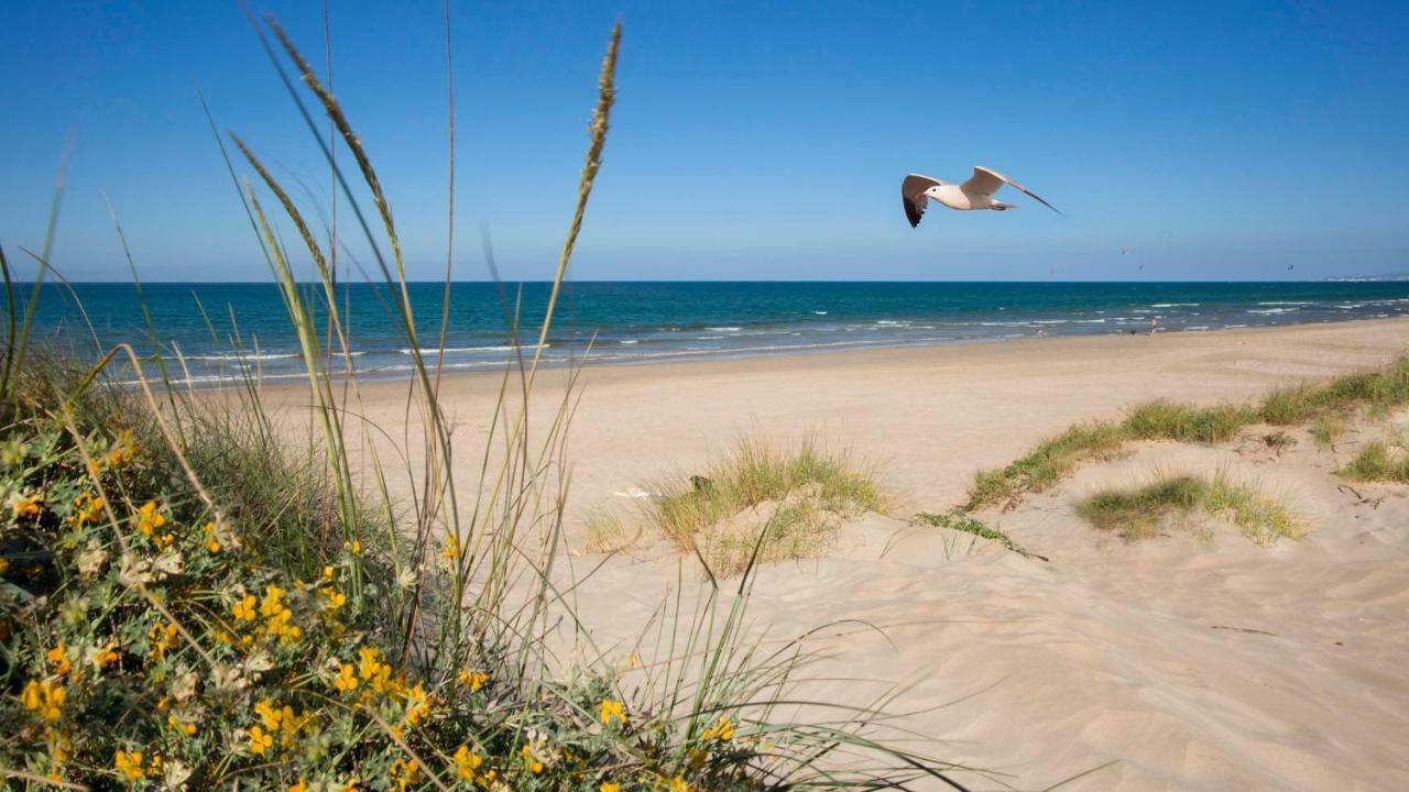 Oliva Holidays 1 Zewnętrze zdjęcie