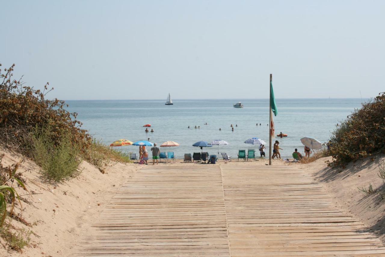 Oliva Holidays 1 Zewnętrze zdjęcie